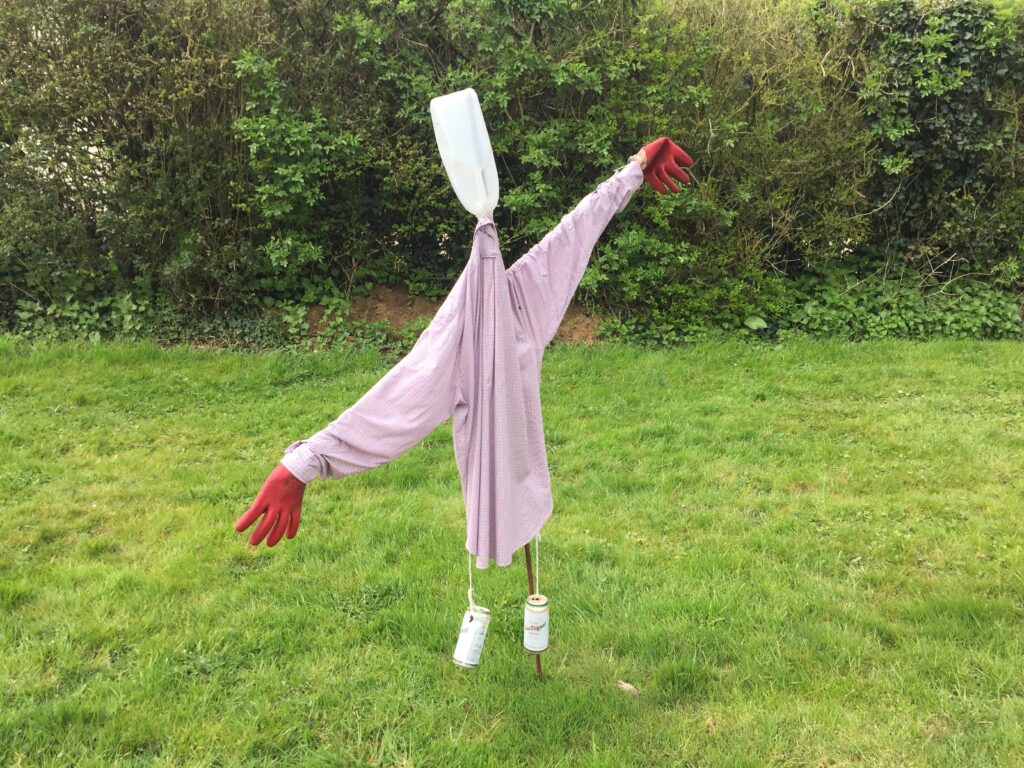 Scarecrow-in-field-doing-yoga