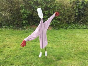 Scarecrow-in-field-doing-yoga