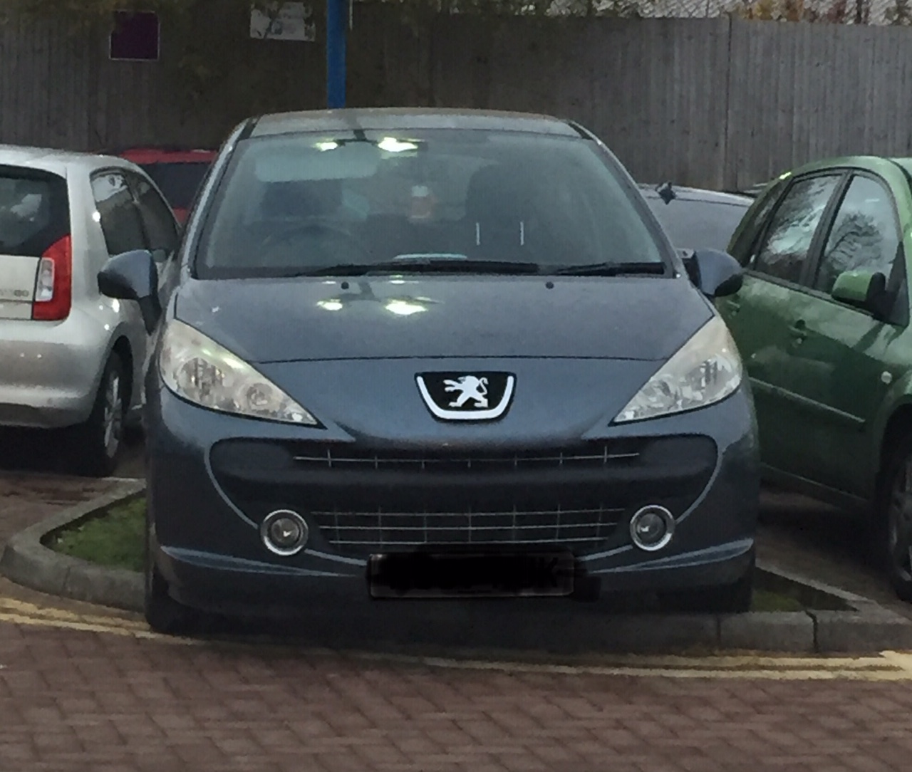 Peugeot-parked-badly-by-John-Griffiths-Colby